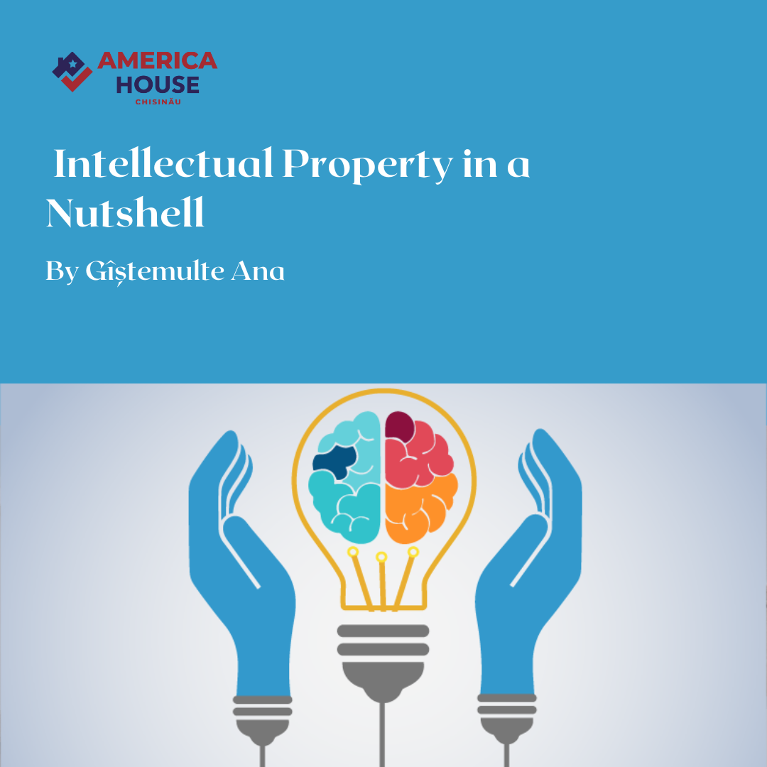 Intellectual Property In A Nutshell – NRCEH